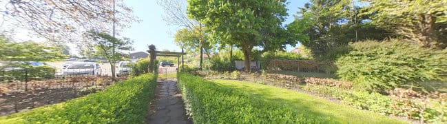 Achtertuin