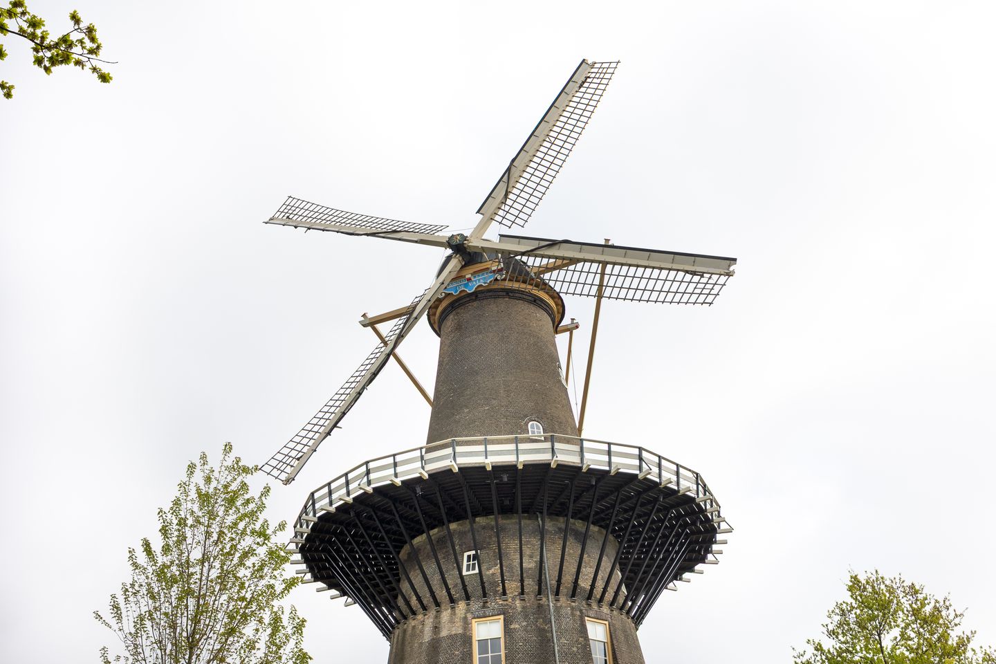 Photo 35 of Rijnsburgersingel 1-B