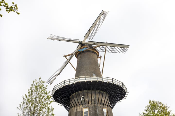 Photo 35 of Rijnsburgersingel 1-B