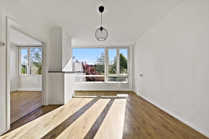 Foto 2 van Aart van der Leeuwkade 154