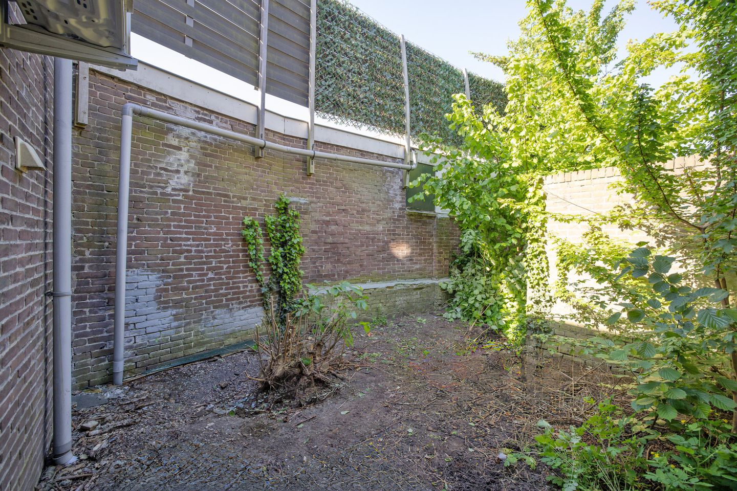 Foto 14 van Ruitersweg 11-C