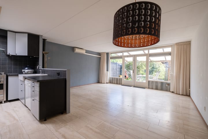 Foto 2 van Plevier 104