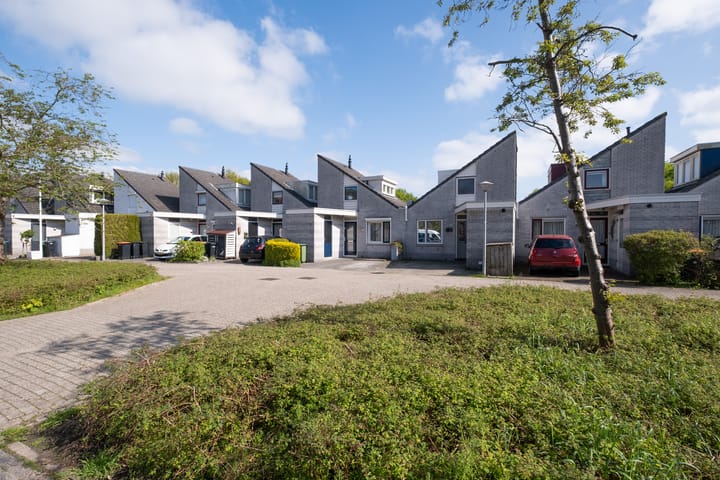 Foto 20 van Plevier 104