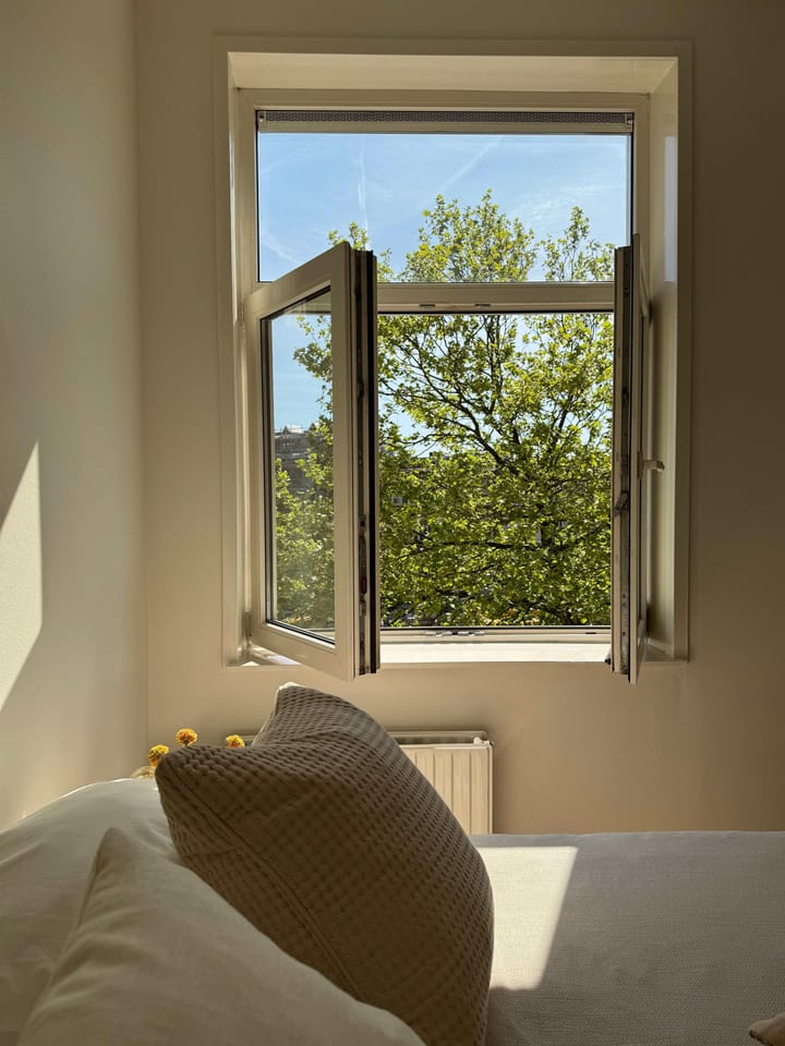 Foto 13 van Baarsjesweg 167-2