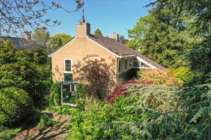 Foto 2 van Nassauplantsoen 22