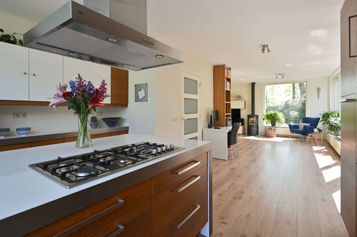 Foto 20 van Nassauplantsoen 22