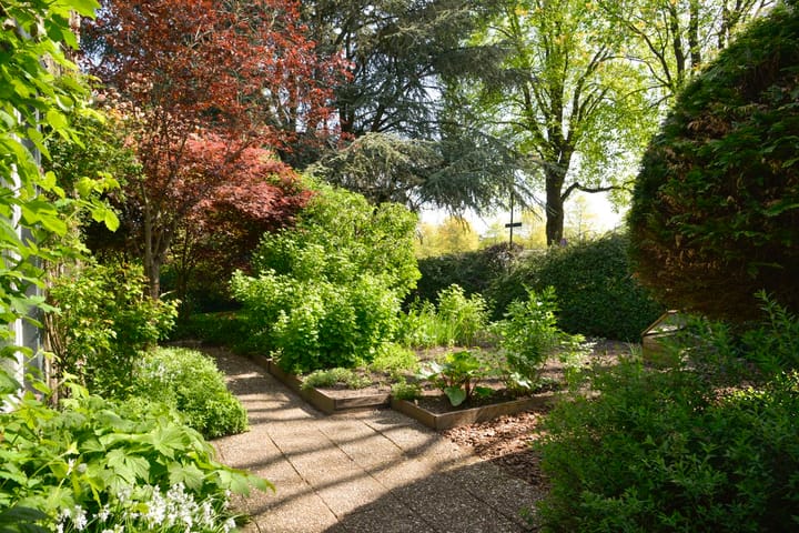 Foto 42 van Nassauplantsoen 22