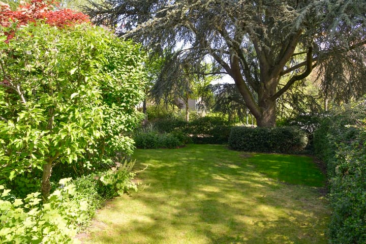 Foto 44 van Nassauplantsoen 22