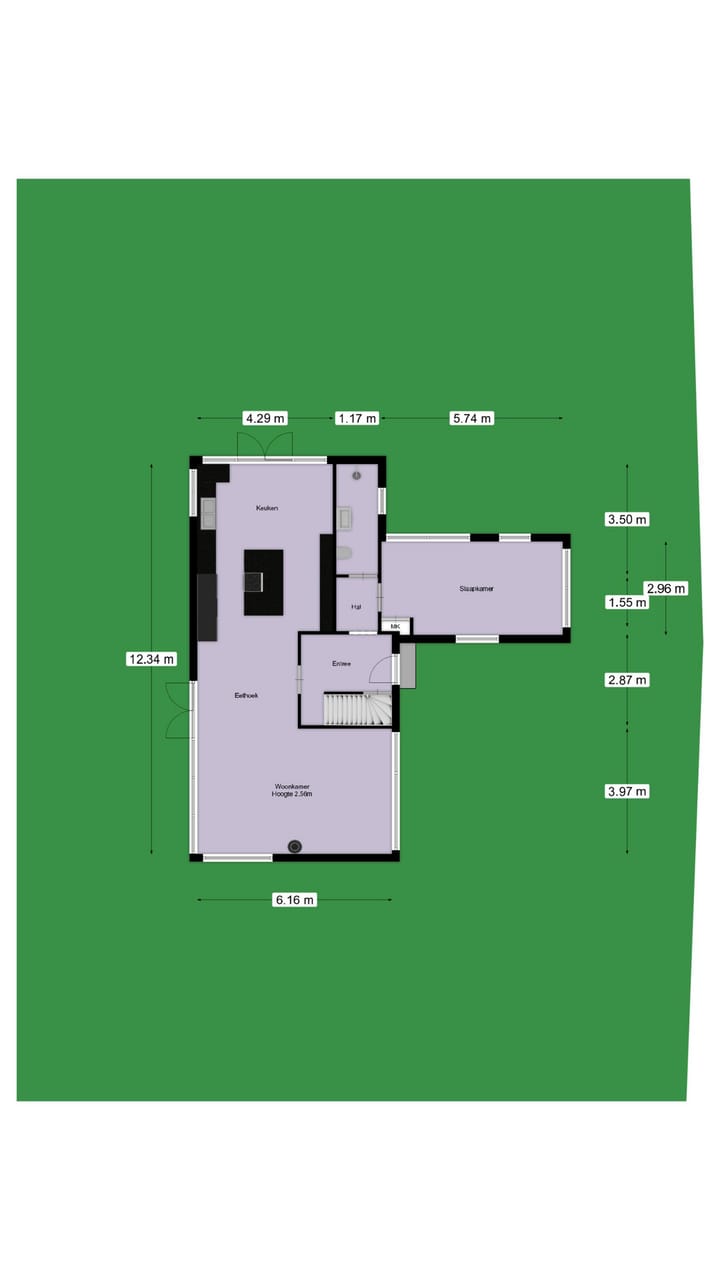 Foto 55 van Nassauplantsoen 22