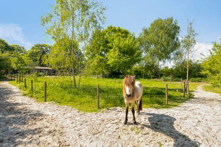 Foto 35 van Hoogslabroekseweg 1-A