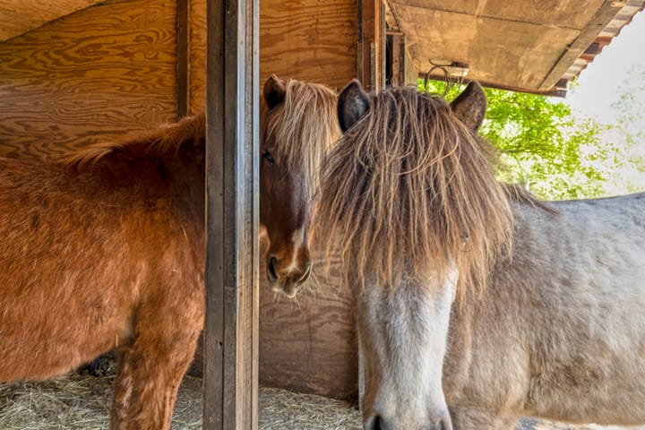 Foto 30 van Hoogslabroekseweg 1-A