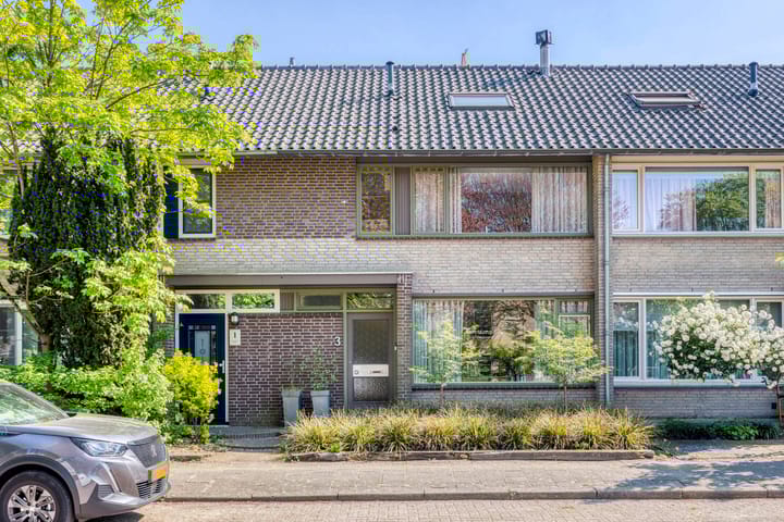 Foto 1 van Seringenstraat 3