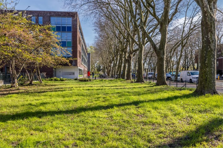 Foto 52 van Van Heutszstraat 13