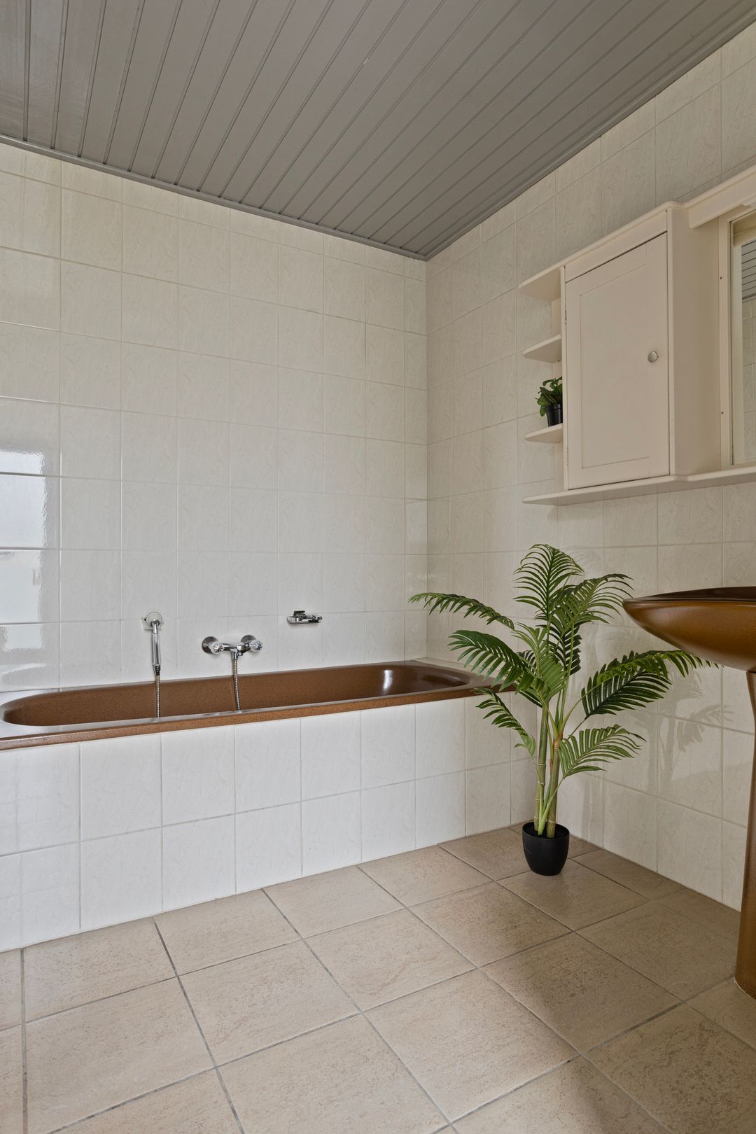 Foto 23 van Oxrooi 10