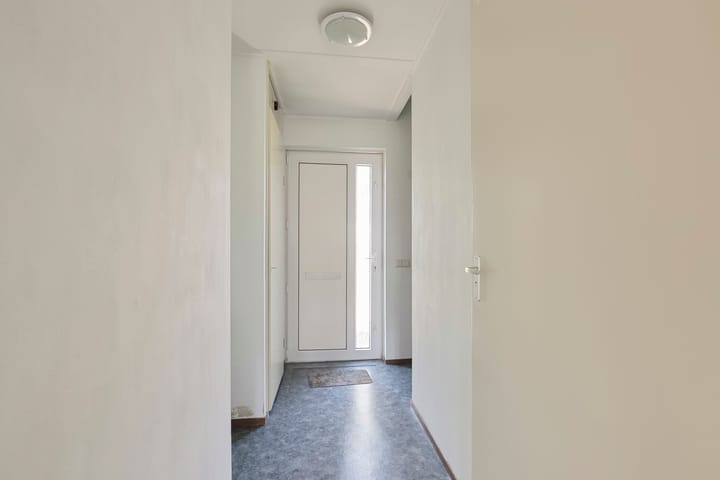 Foto 2 van Zirkoon 22