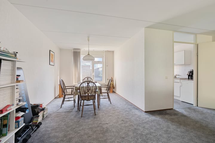 Foto 6 van Zirkoon 22