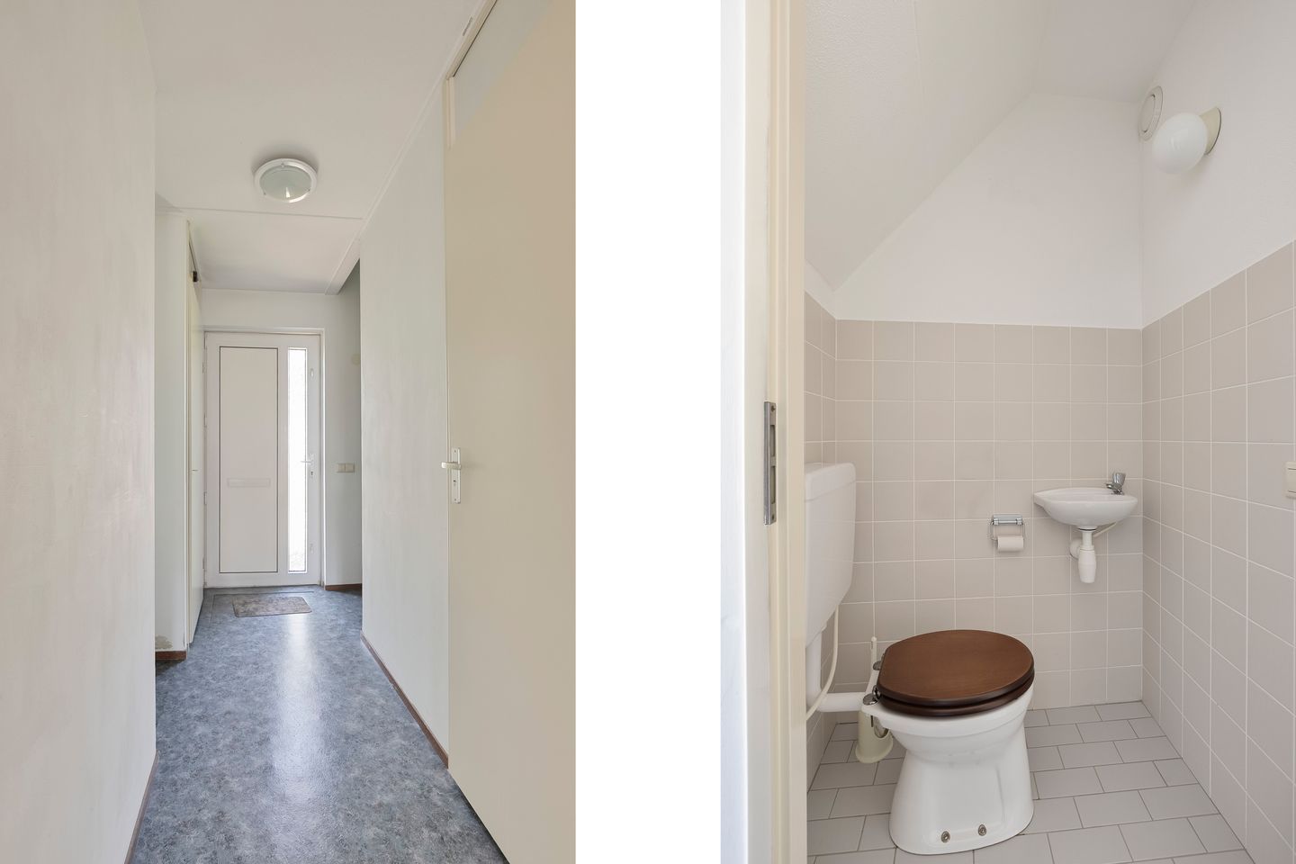 Photo 10 of Zirkoon 22