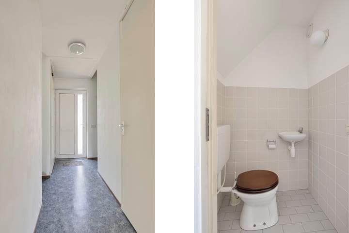 Foto 10 van Zirkoon 22