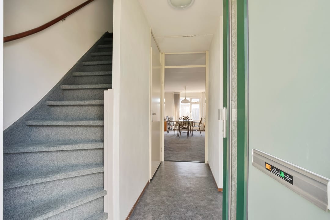 Photo 11 of Zirkoon 22