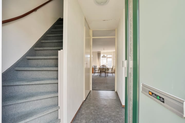 Foto 11 van Zirkoon 22