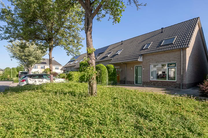 Foto 30 van Zirkoon 22