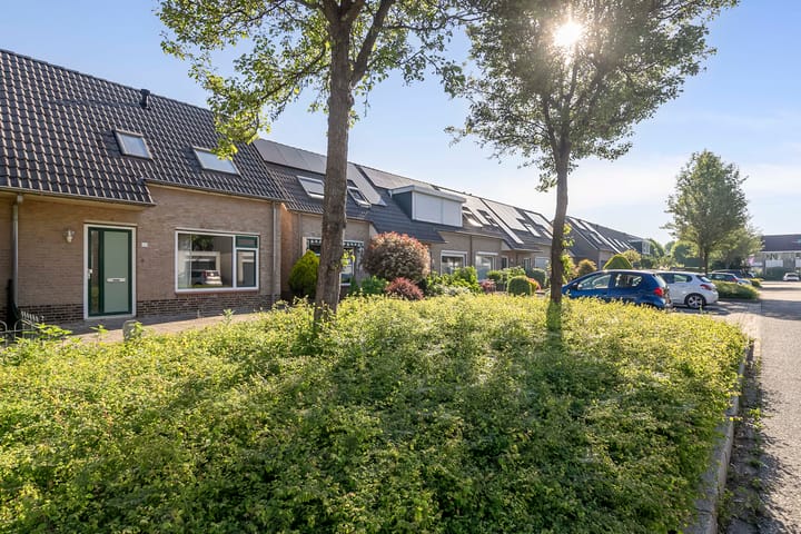 Foto 31 van Zirkoon 22