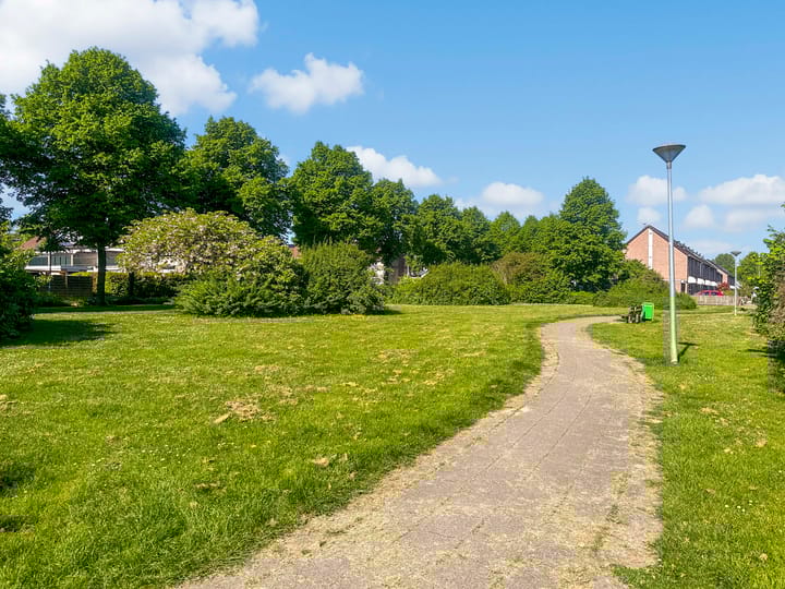 Foto 32 van Zirkoon 22