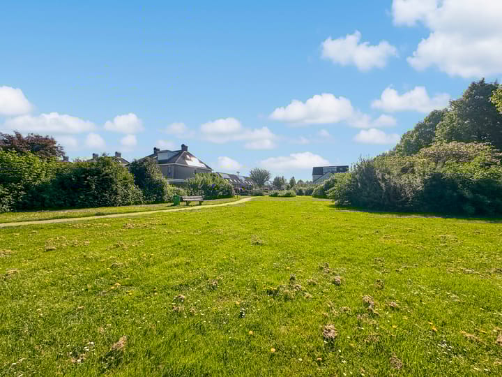 Foto 35 van Zirkoon 22