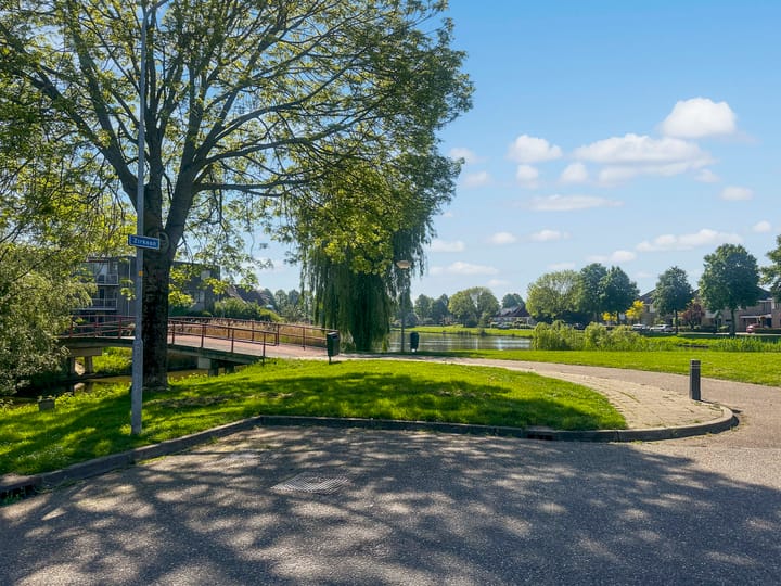 Foto 36 van Zirkoon 22