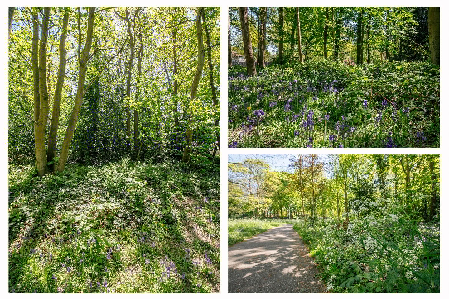 Foto 44 van Max Euweweg 41