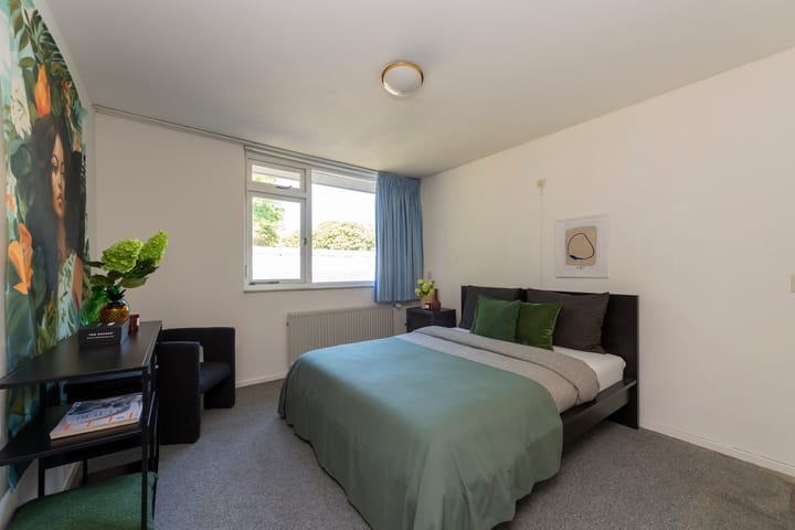 Foto 19 van Conservatoriumlaan 173