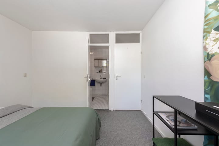 Foto 21 van Conservatoriumlaan 173