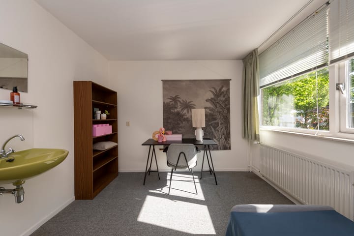 Foto 23 van Conservatoriumlaan 173