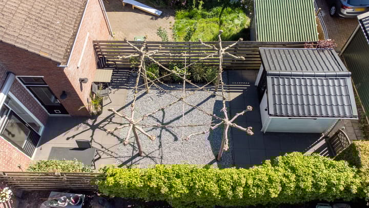 Foto 36 van 't Oelbred 7