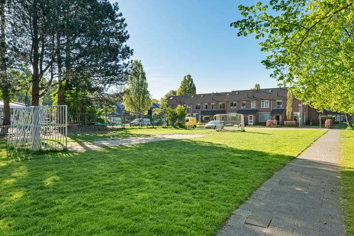 Foto 41 van 't Oelbred 7