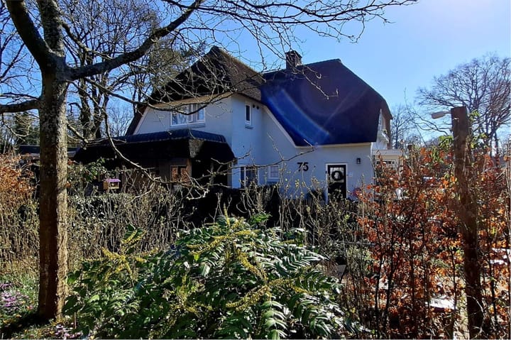 Foto 3 van Wolfhezerweg 75