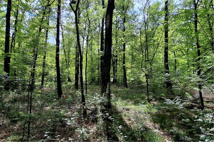 Foto 64 van Wolfhezerweg 75