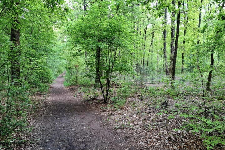 Foto 65 van Wolfhezerweg 75