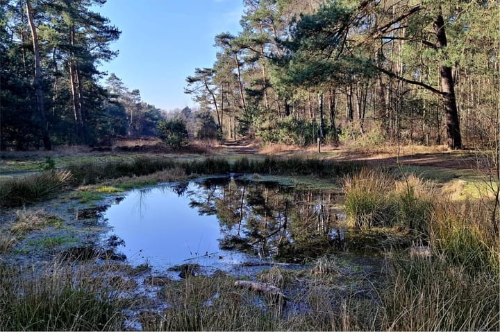 Foto 66 van Wolfhezerweg 75