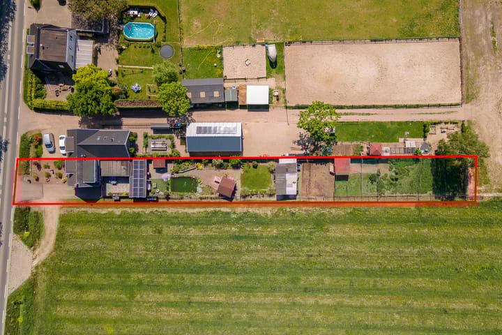 Foto 3 van Zwarte Paard 6