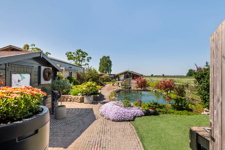 Foto 32 van Zwarte Paard 6