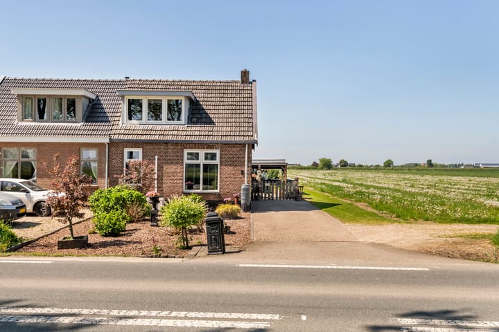 Foto 49 van Zwarte Paard 6