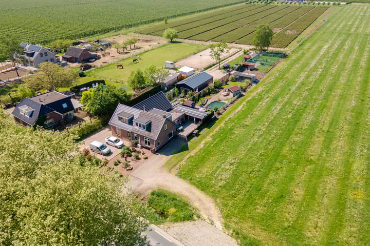 Foto 53 van Zwarte Paard 6