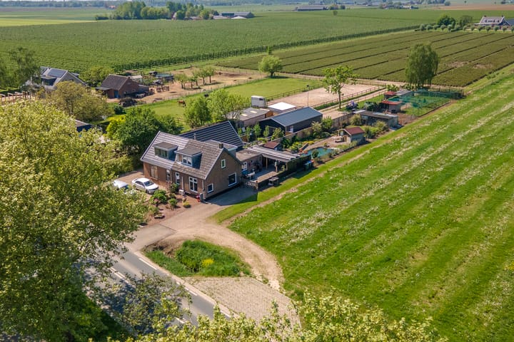 Foto 54 van Zwarte Paard 6