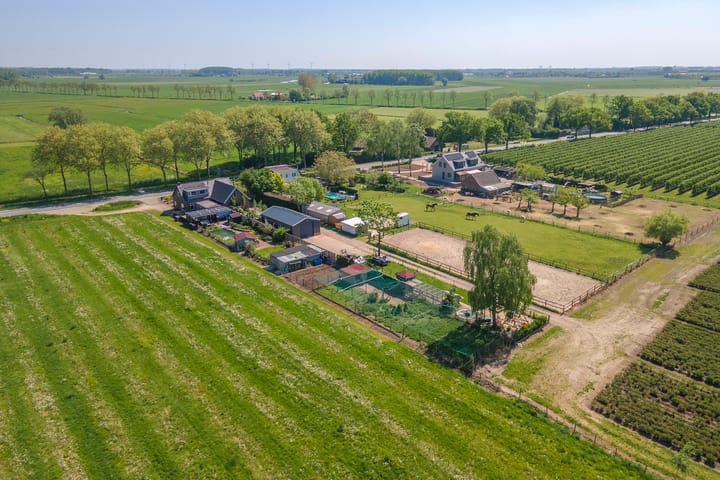 Foto 55 van Zwarte Paard 6