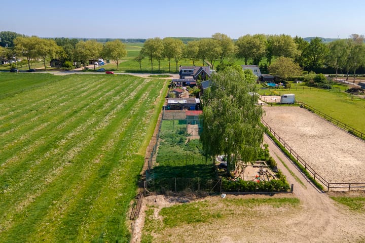 Foto 56 van Zwarte Paard 6