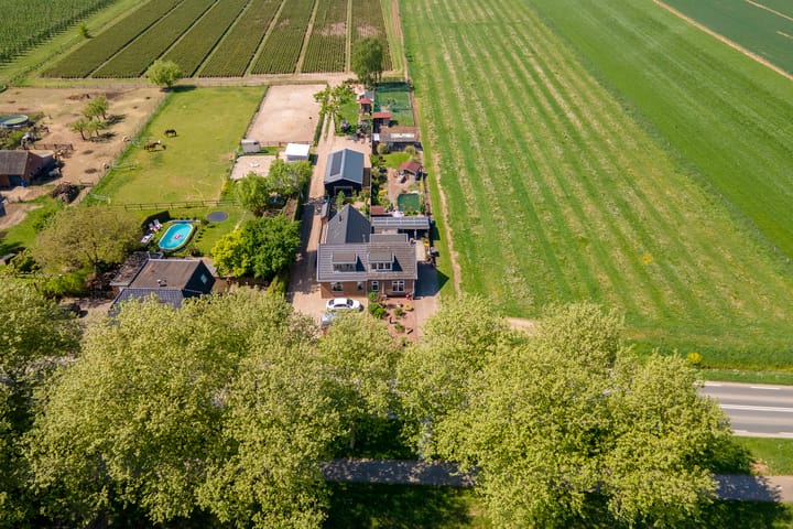 Foto 60 van Zwarte Paard 6