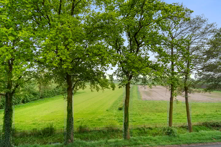 Photo 39 of Wildekamp 64