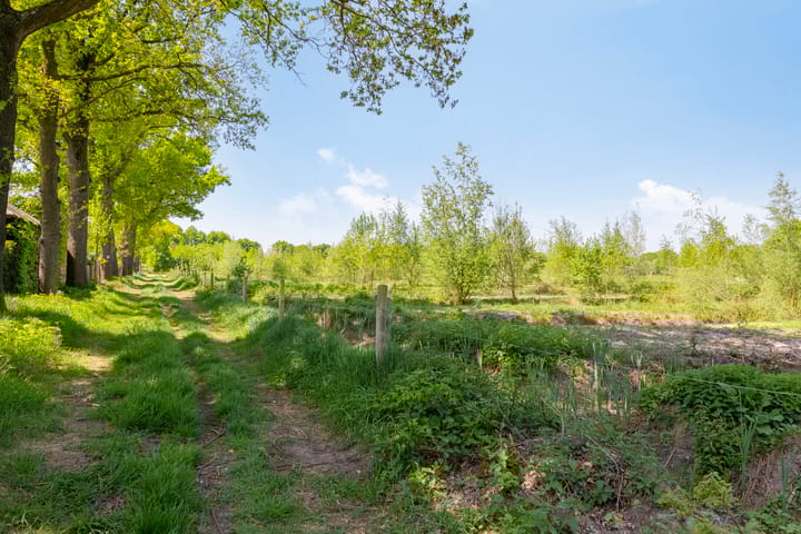 Foto 79 van Het Buske 31