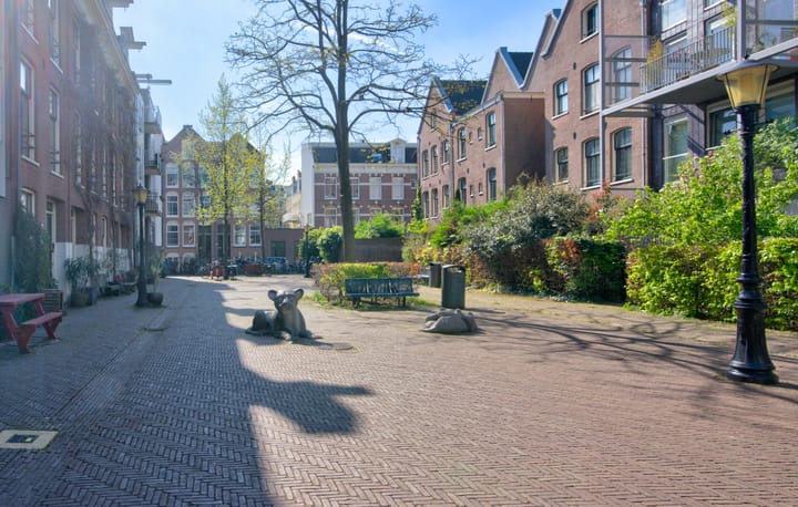 Foto 31 van Swammerdamstraat 44-1